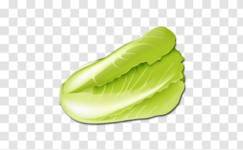 Napa Cabbage Vegetable Lettuce Chinese - Food - Uchuva Transparent PNG