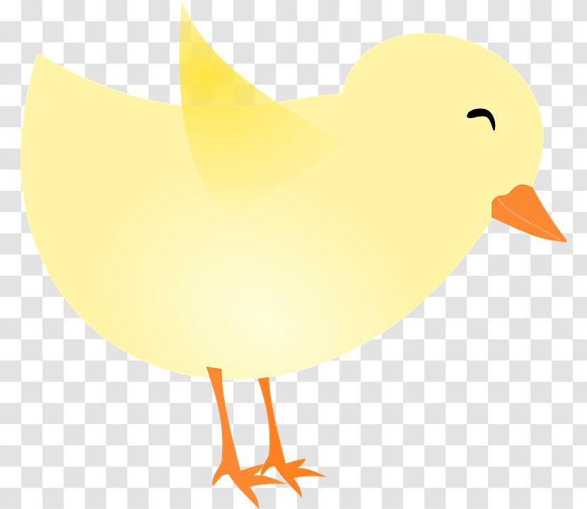 Easter Background - Web Design - Water Bird Yellow Transparent PNG