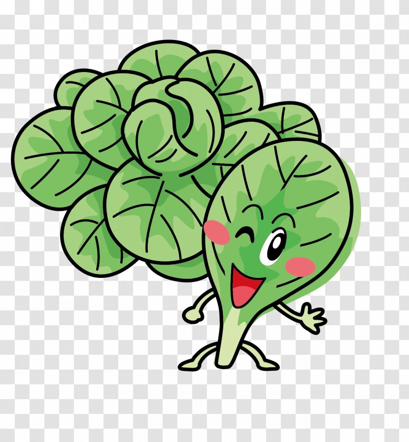 Clip Art Leaf Fruit Euclidean Vector Cabbage - Food Transparent PNG