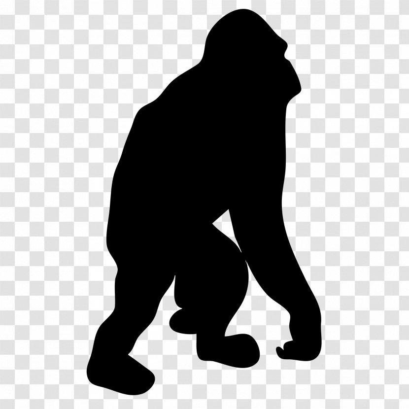 Orangutan Silhouette Drawing Clip Art - Homo Sapiens - Vector Transparent PNG