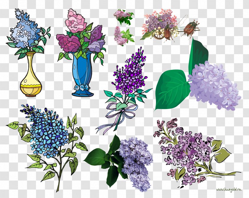Flower Floral Design Lilac Clip Art - Child Transparent PNG