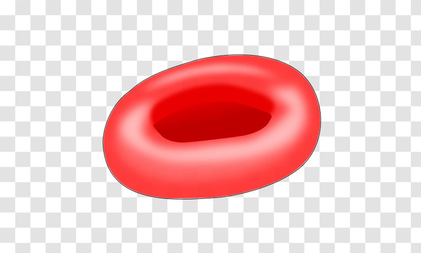 Red Blood Cell Hemoglobin Nucleus - Chair Transparent PNG