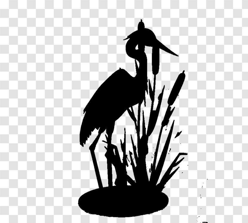 Stork Bird Crane Clip Art Beak - Ciconiiformes Transparent PNG