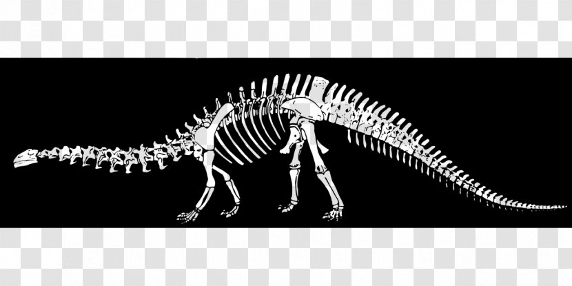 Velociraptor ARK: Survival Evolved Brontosaurus The Lost World Tyrannosaurus - Dinosaur Transparent PNG