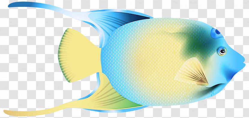 Yellow Fish Butterflyfish Transparent PNG