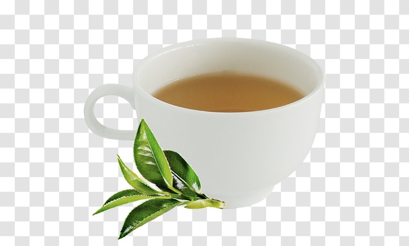Milk Tea Background - Serveware - Kahwah Coffee Transparent PNG