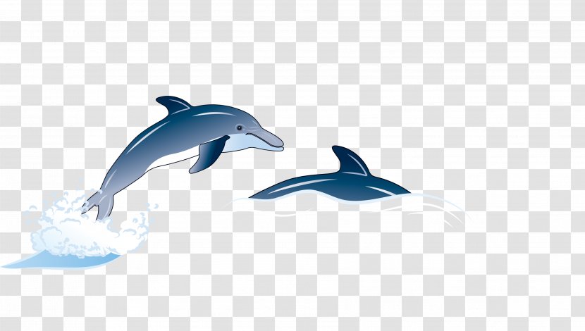 Common Bottlenose Dolphin Illustration - Marine Mammal Transparent PNG