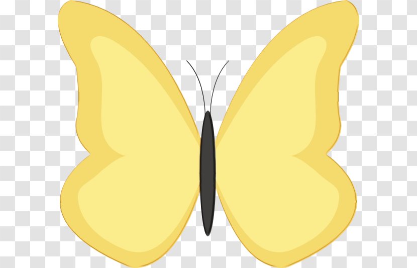 Butterfly Moths And Butterflies Insect Yellow Clip Art - Symmetry Wing Transparent PNG