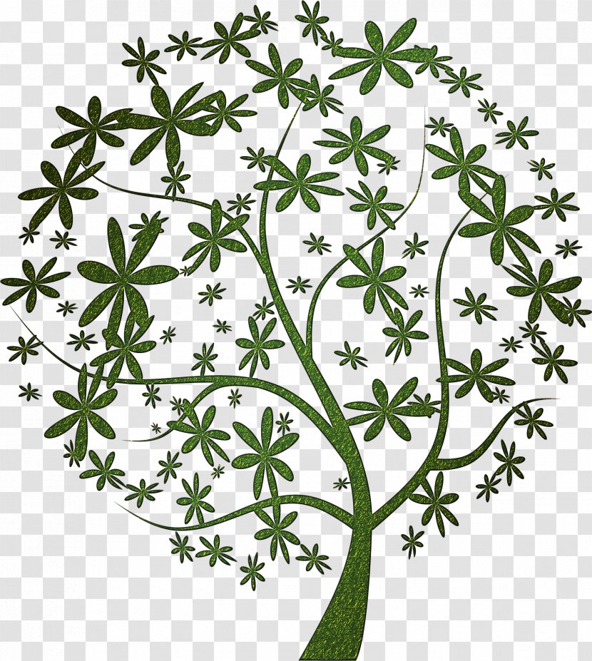 Wall Decal Bedroom Decorative Arts - Tree - Money Transparent PNG