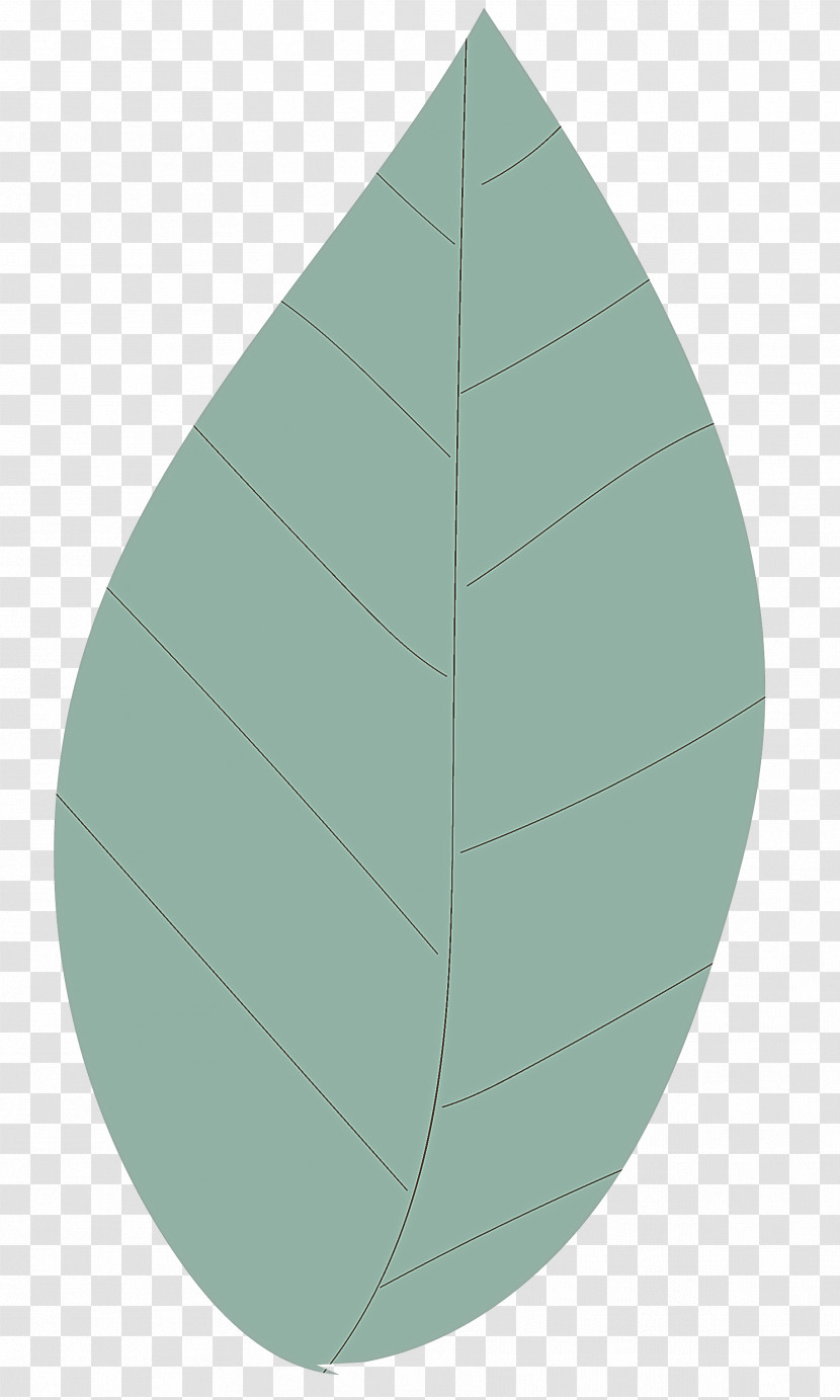 Leaf Circle Angle Green Plant Structure Transparent PNG
