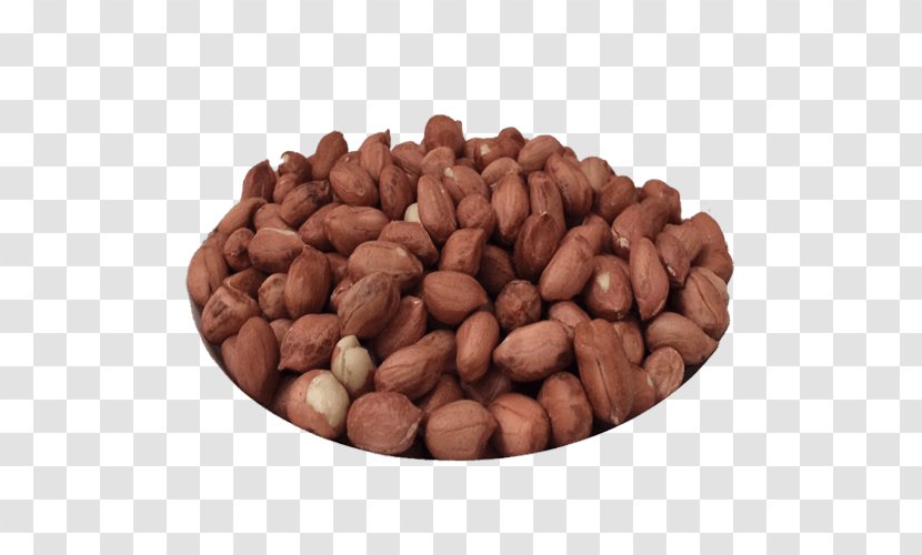 Hazelnut Tree Nut Allergy Peanut VY2 - Ingredient Transparent PNG