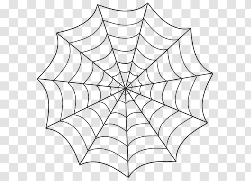 Spider Web Drawing Line Art - Black And White Transparent PNG