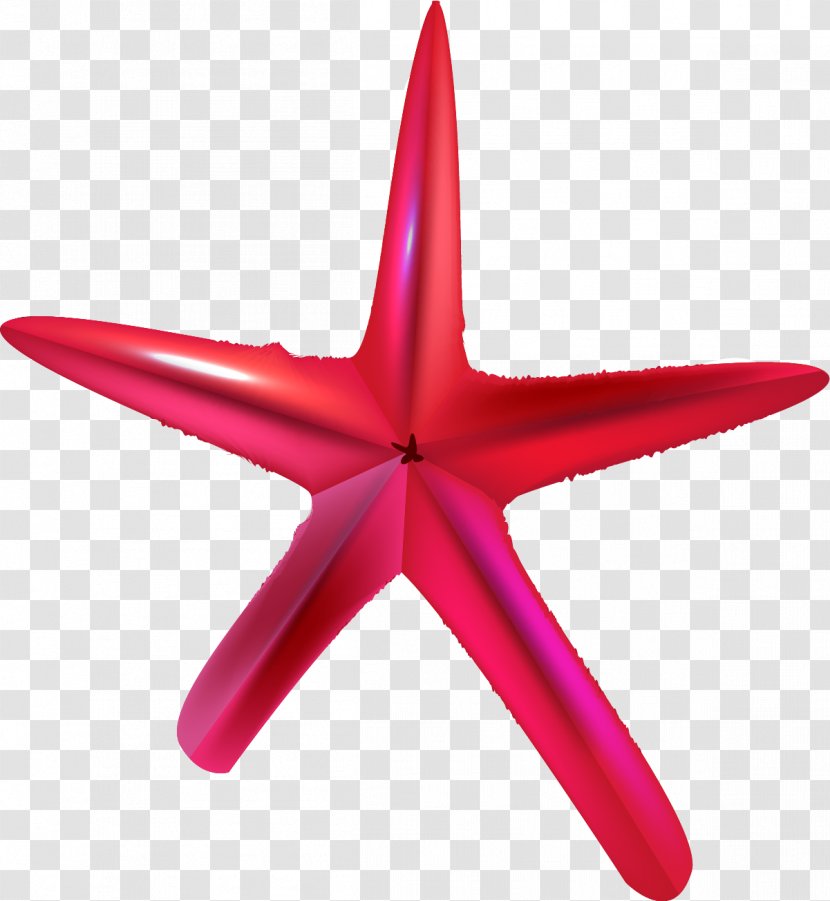 Paris Silhouette Wallpaper - Hand Painted Red Starfish Transparent PNG