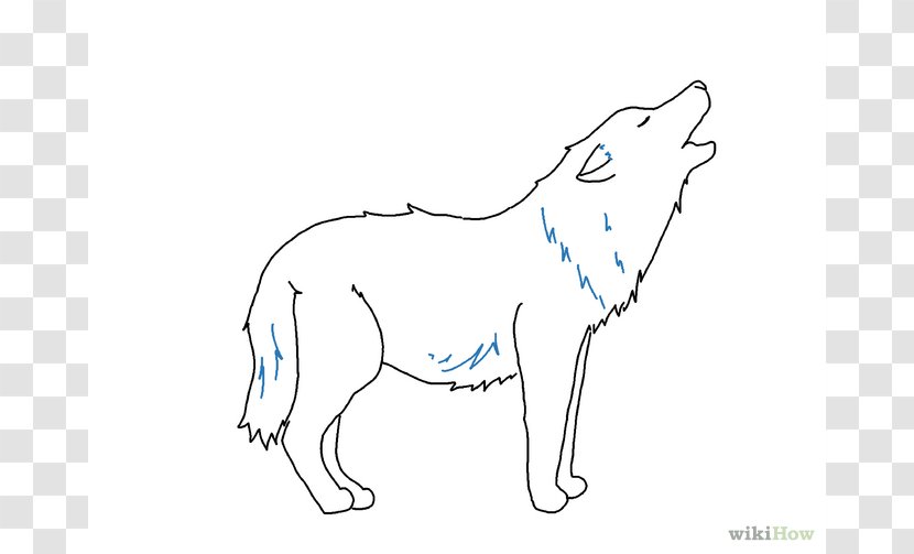 Gray Wolf Drawing Line Art Sketch - Watercolor - Easy Drawings Transparent PNG