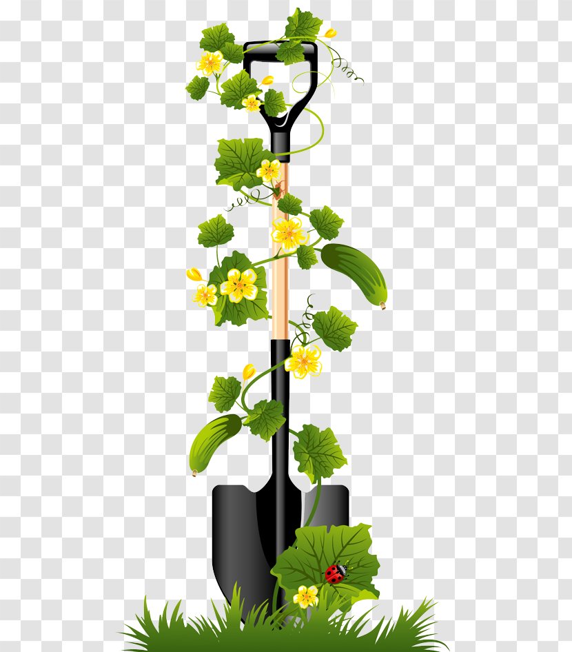 Clip Art Shovel Vector Graphics Flower Garden - Branch Transparent PNG