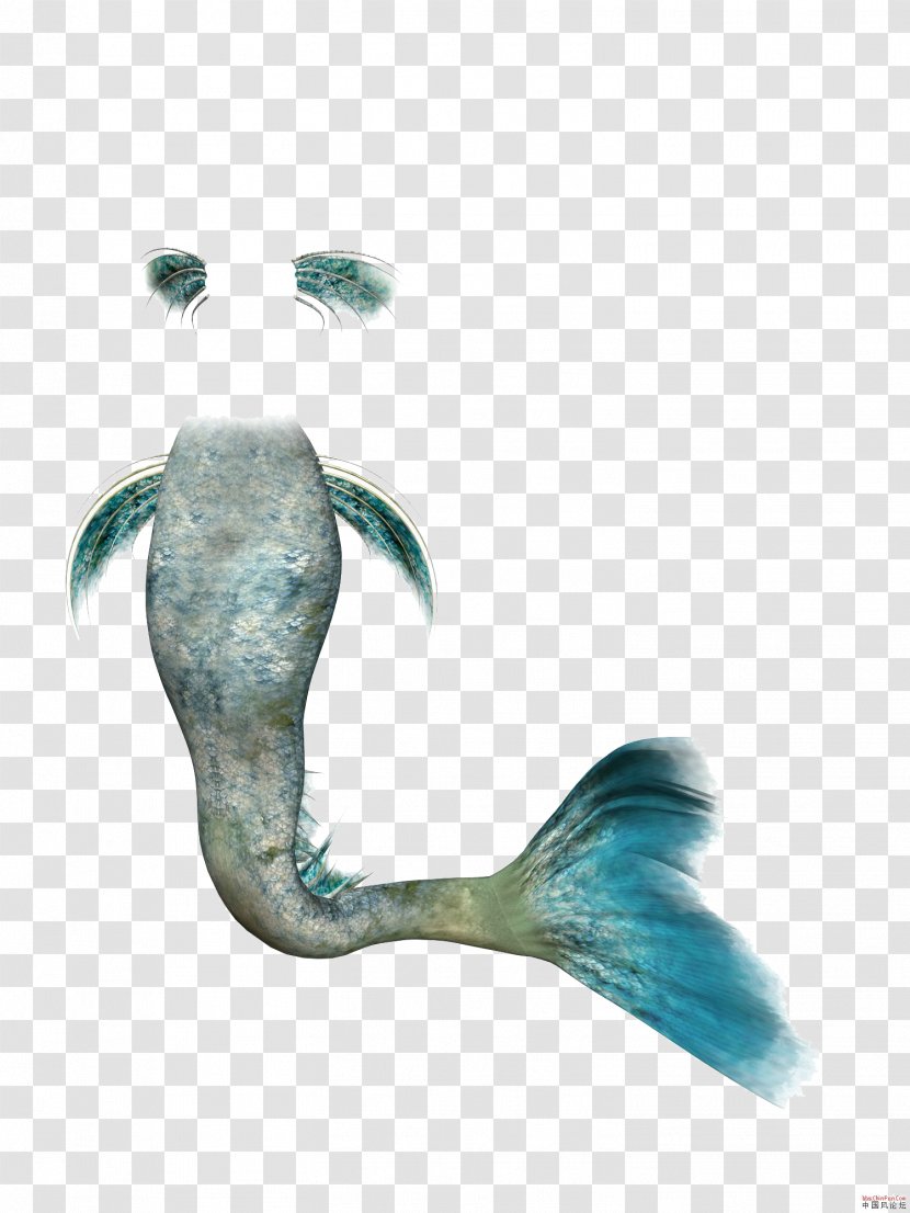 Mermaid Rusalka Clip Art - Aqua - Tail Transparent PNG