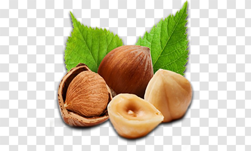 Chocolate Cartoon - Chestnut - Common Fig Transparent PNG