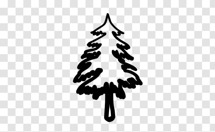 Evergreen Tree Pine Clip Art - Symbol - Clipart Transparent PNG