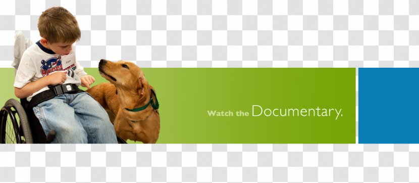 Dog Breed Through A Dog's Eyes Puppy Service - Eye Transparent PNG