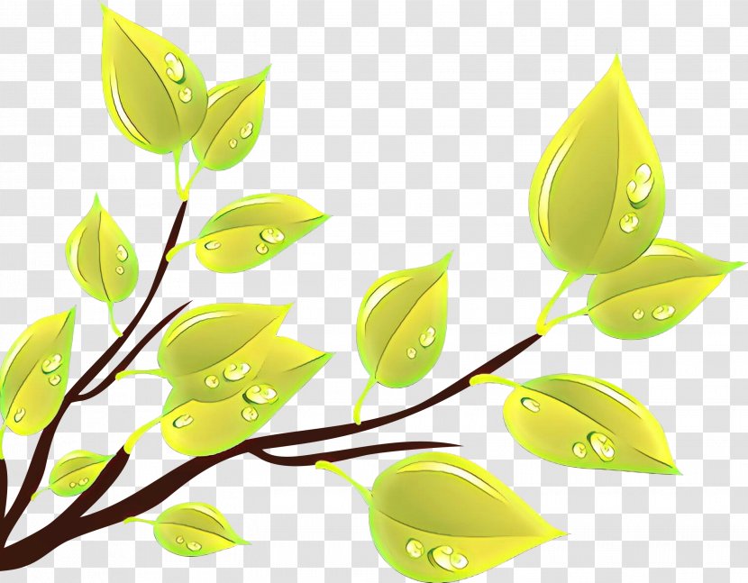 Leaf Green Plant Yellow Flower - Branch Transparent PNG