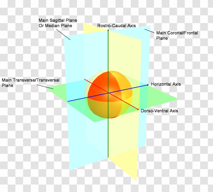 Diagram Line Angle - Symmetry Transparent PNG