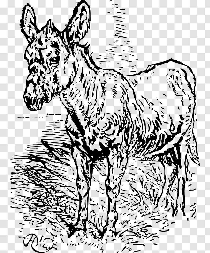 Mule Donkey Horse Stallion Mare - Terrestrial Animal Transparent PNG