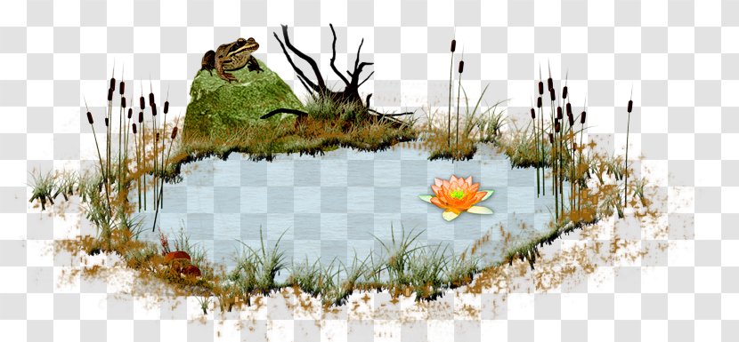 Diary Graphics Illustration Blog Image - Art - Pond Animations Transparent PNG