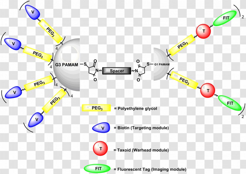 Targeted Drug Delivery Dendrimer Pharmaceutical Therapy - Chemotherapy - Blue Bow Tie Transparent PNG