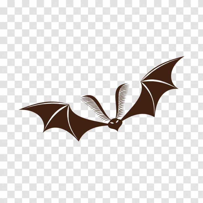 Bat Halloween Ghost Jack-o'-lantern Festival - Invertebrate - Background Transparent PNG