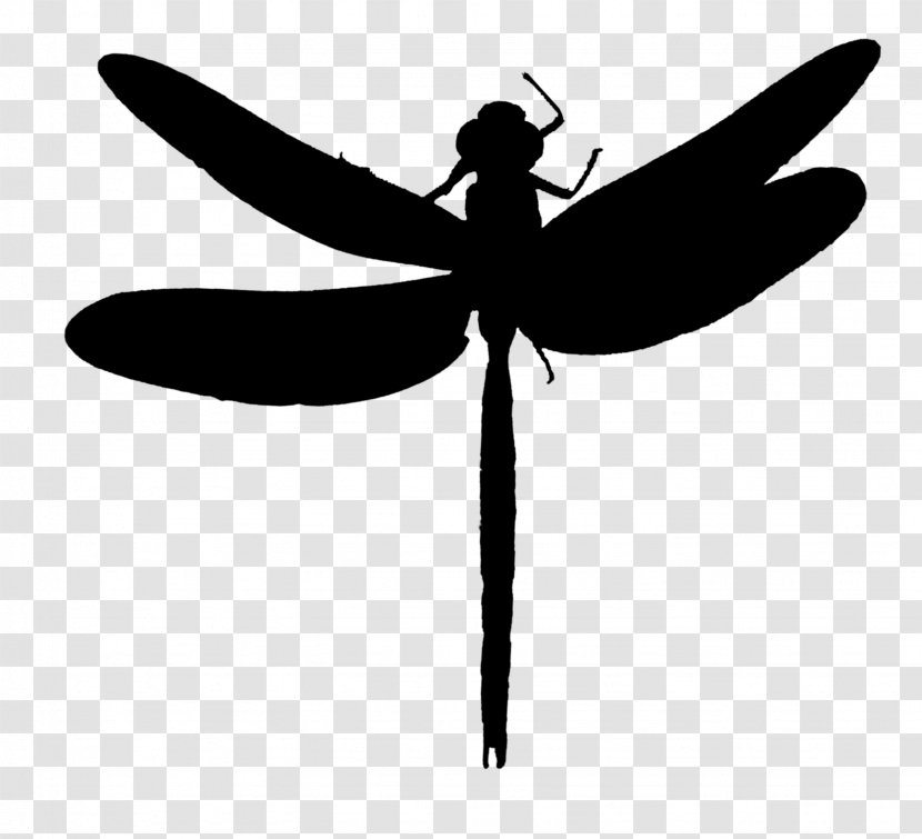 Dragonfly Insect Clip Art Line Silhouette - Invertebrate - Wing Transparent PNG