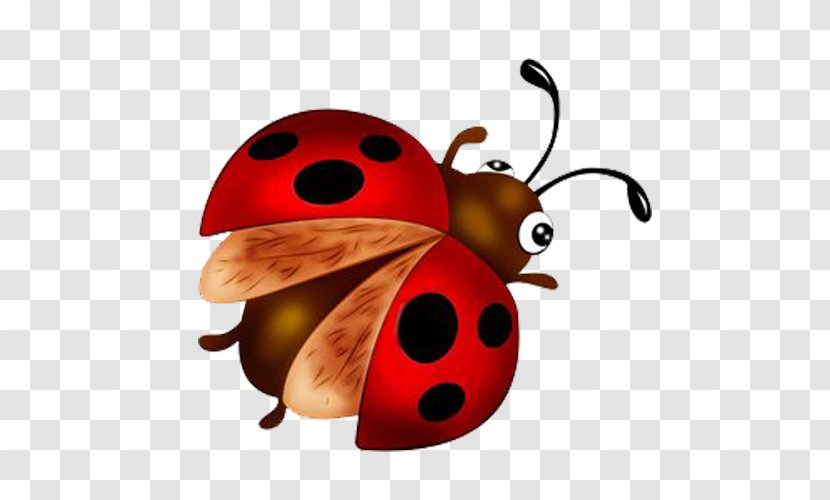 Coccinella Septempunctata Insect Animation Clip Art - Beetle - Ladybug Transparent PNG