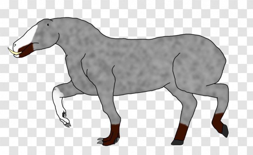 Mustang Pony Foal Mare Stallion - Tree - Drake Transparent PNG