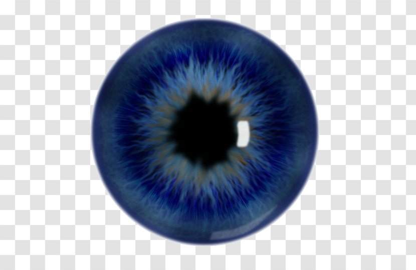 Iris Pupil Human Eye Blue - Silhouette Transparent PNG