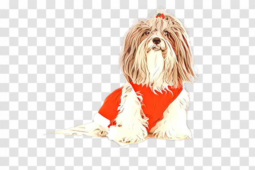 Dog Shih Tzu Petit Basset Griffon Vendéen Lhasa Apso Tibetan Terrier Transparent PNG