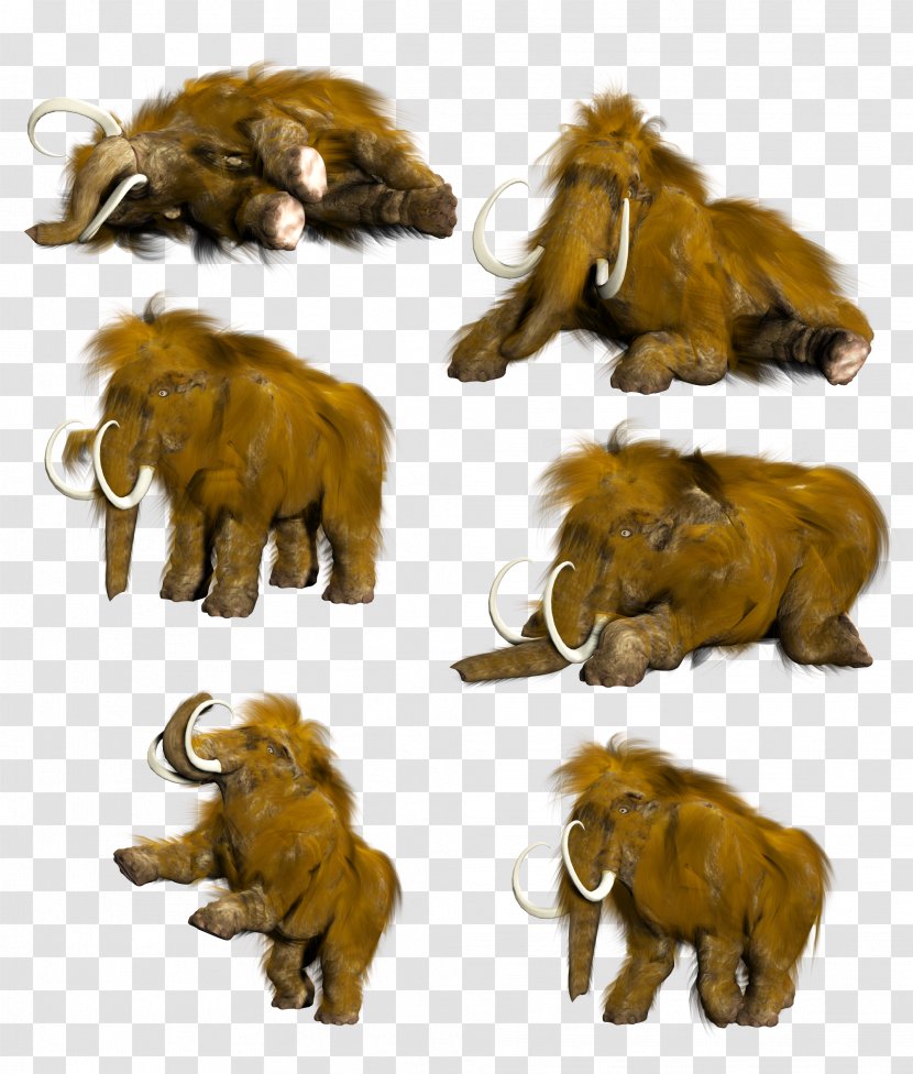 Lion Mammoth Elephant Clip Art - Masai - Ancient Transparent PNG