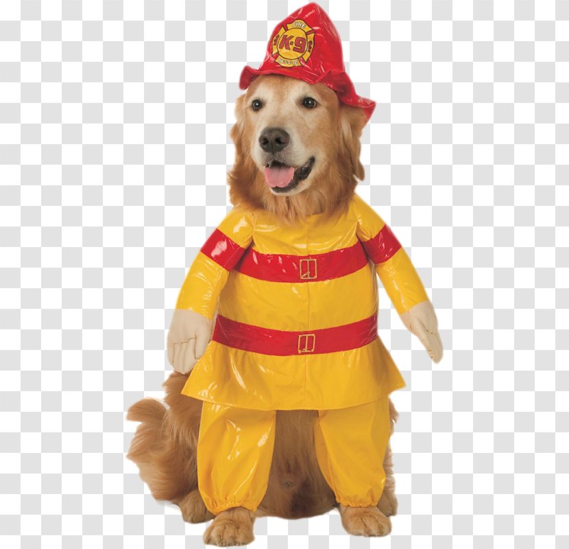 Dog Cat Halloween Costume Pet - Carnivoran Transparent PNG