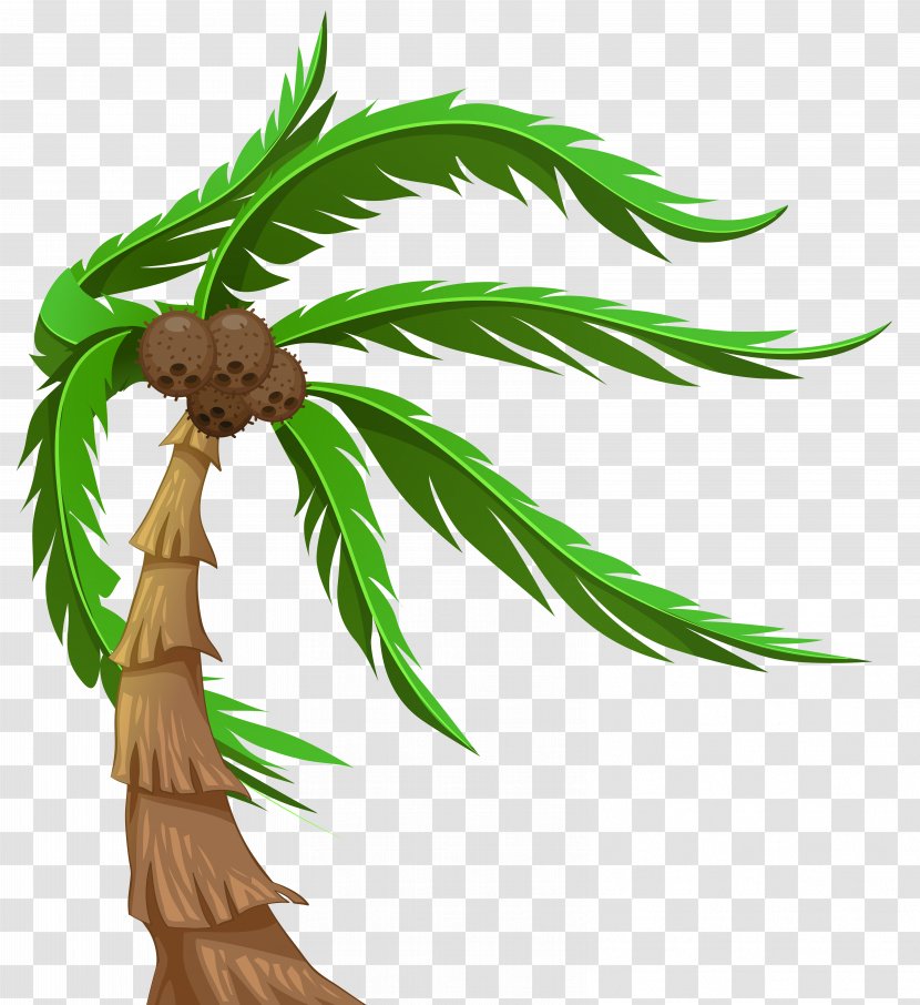 Arecaceae Clip Art - Royalty Free - Palm With Coconuts Transparent Image Transparent PNG