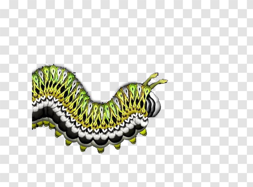 Flower Human Body Photography Artist - Heart - Art Caterpillar Transparent PNG