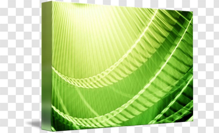 Green Abstract Art Photography Digital Transparent PNG