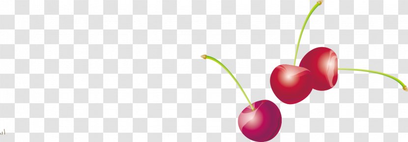 Superfood Close-up Natural Foods Wallpaper - Heart - Cherry Vector Material Transparent PNG