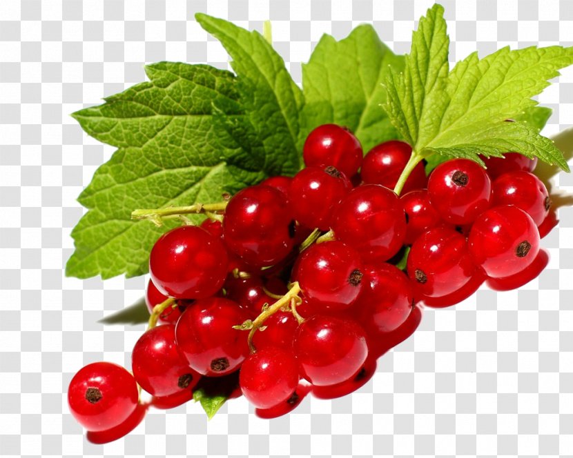 Redcurrant Blackcurrant Berry Fruit Price - Red Mulberry Transparent PNG