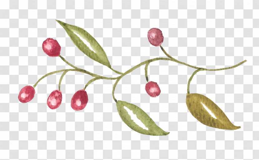 Cherry Auglis Red - Fruit And Green Leaves Transparent PNG