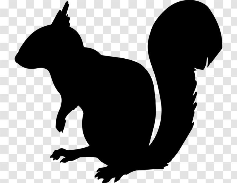 Squirrel Cartoon - Blackandwhite - Ferret Grey Transparent PNG