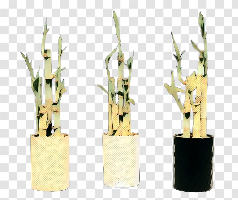 Bamboo Plant Flower Flowerpot Houseplant - Stem Transparent PNG