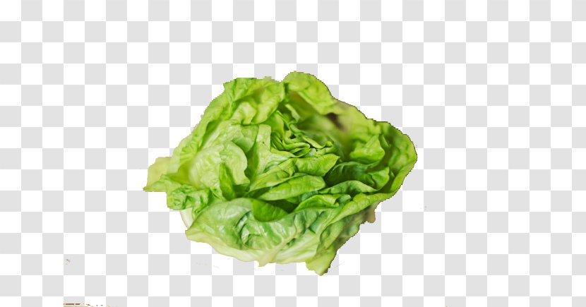 Smoothie Nutrient Centers For Disease Control And Prevention Lettuce - Eating - A Fresh Cabbage Transparent PNG