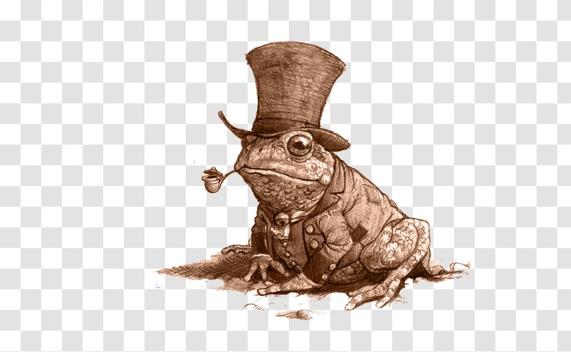 Mr. Toad Frog A La Recherche De Féerie - Mr - Jeanbaptiste Monge Transparent PNG