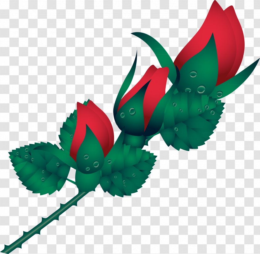 Flowering Plant Rose - Silhouette - Bonbones Transparent PNG