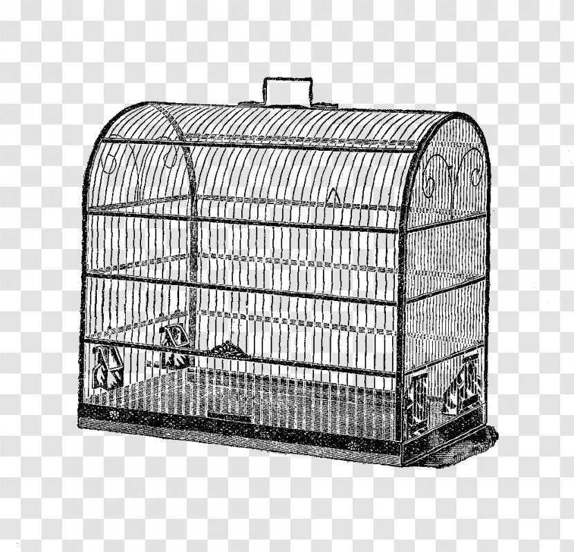 Birdcage Domestic Canary Clip Art - Pet - Bird Cage Transparent PNG