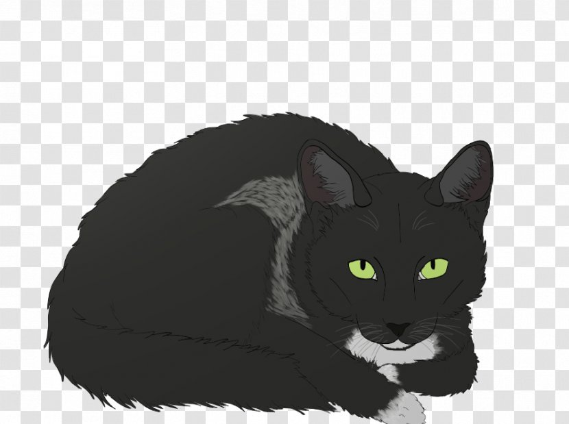 Domestic Short-haired Cat Whiskers Fur Felicia Hardy - Like Mammal - Buffy Faith Transparent PNG
