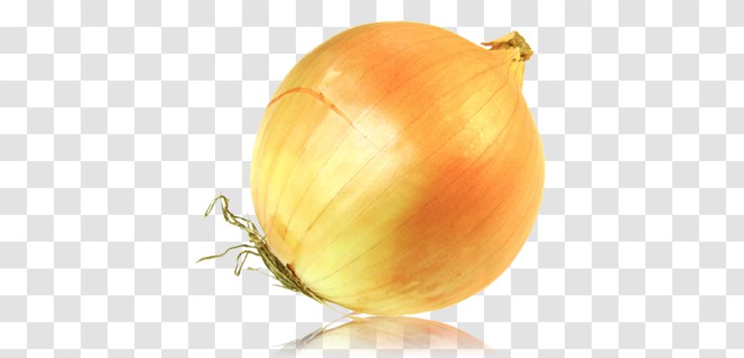 Onion Clip Art - Fruit Transparent PNG
